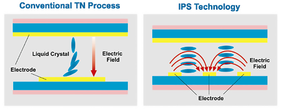 ips-tn