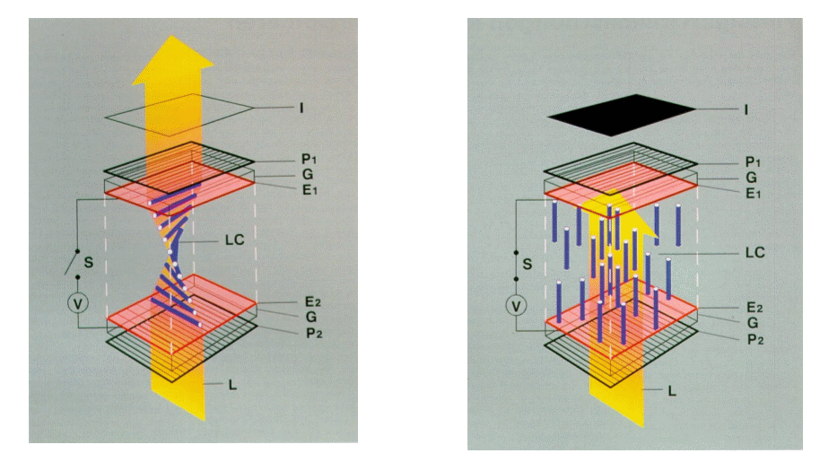 tn-lcd-esquema