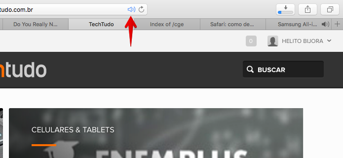 Silenciando todas as abas do Safari (Foto: Reprodução/Helito Bijora) 