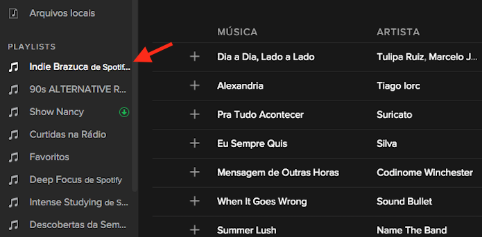 Iniciando uma playlist baixada para o player do Spotify (Foto: Reprodução/Marvin Costa)