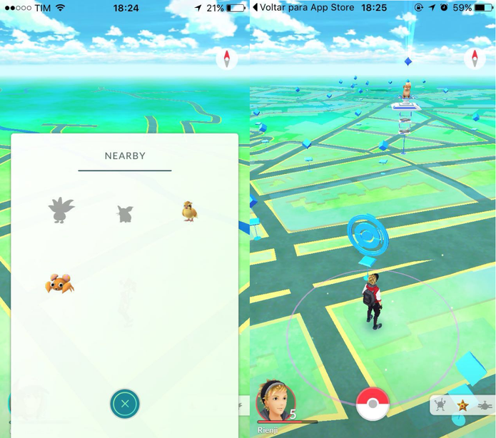 Pokémon Go (Foto: Reprodução/Felipe Vinha)