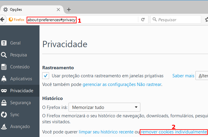 Acessando a tela de remoção de cookies do Firefox (Foto: Reprodução/Edivaldo Brito)