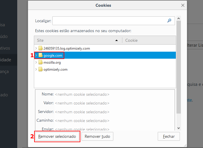 Apagando os cookies de um site no Firefox (Foto: Reprodução/Edivaldo Brito)